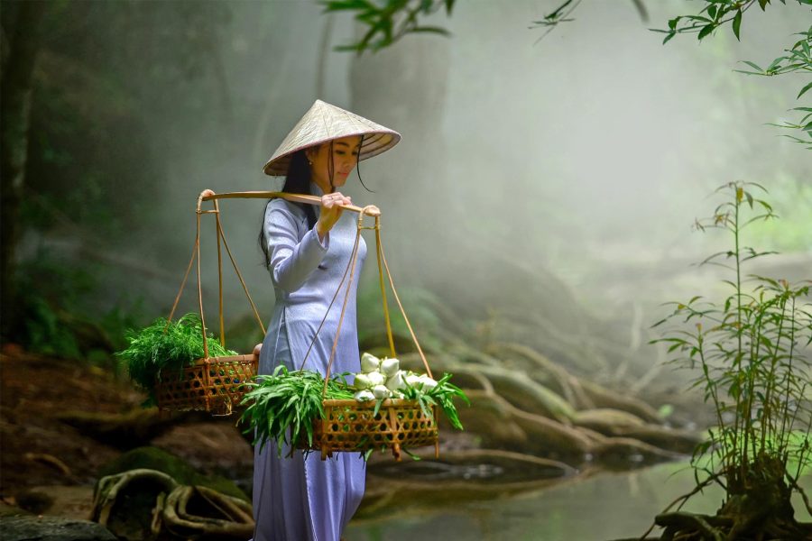 Circuit in Vietnam - octombrie