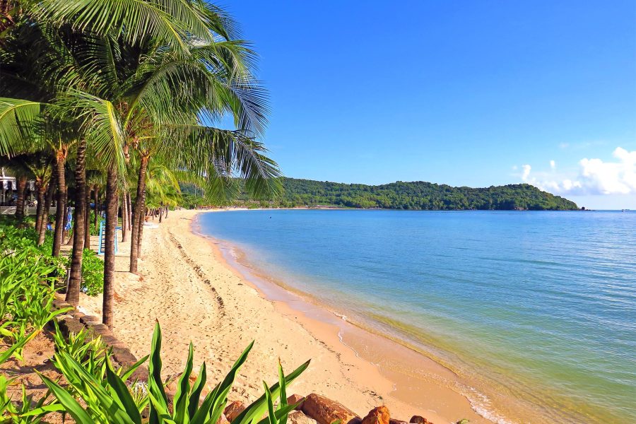 Paste 2026 - Sejur Saigon & plaja Phan Thiet