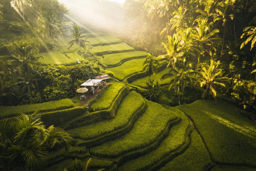 Explore Bali & Lombok