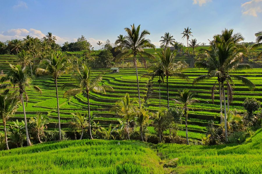 Circuit de grup - Adventure Indonezia