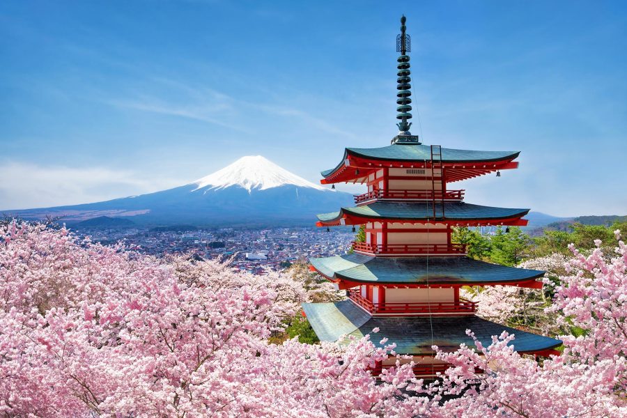 Circuit de grup - Sakura - Japonia