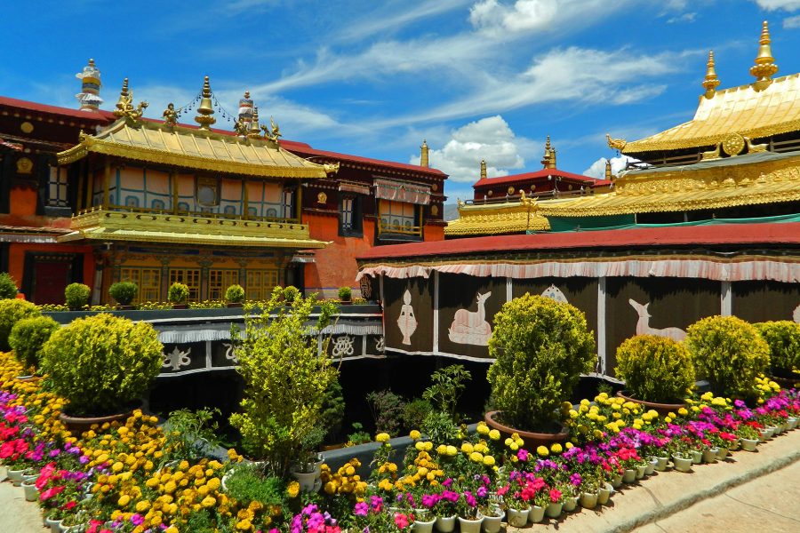 Circuit de grup - Yunnan & Tibet