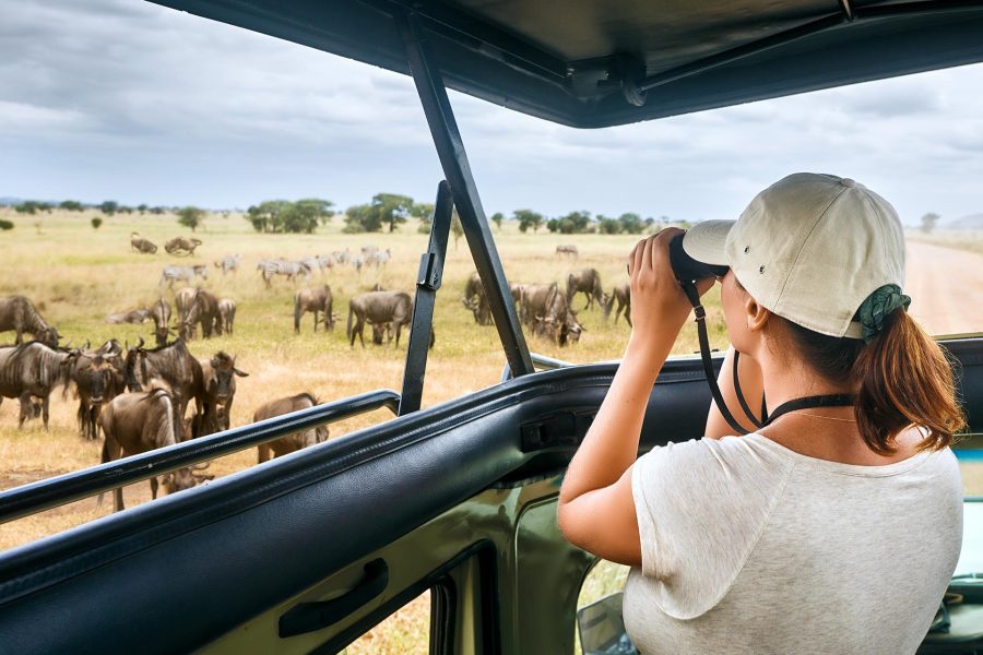 Share a trip Kenya - Safari Tsavo & plaja Diani Beach